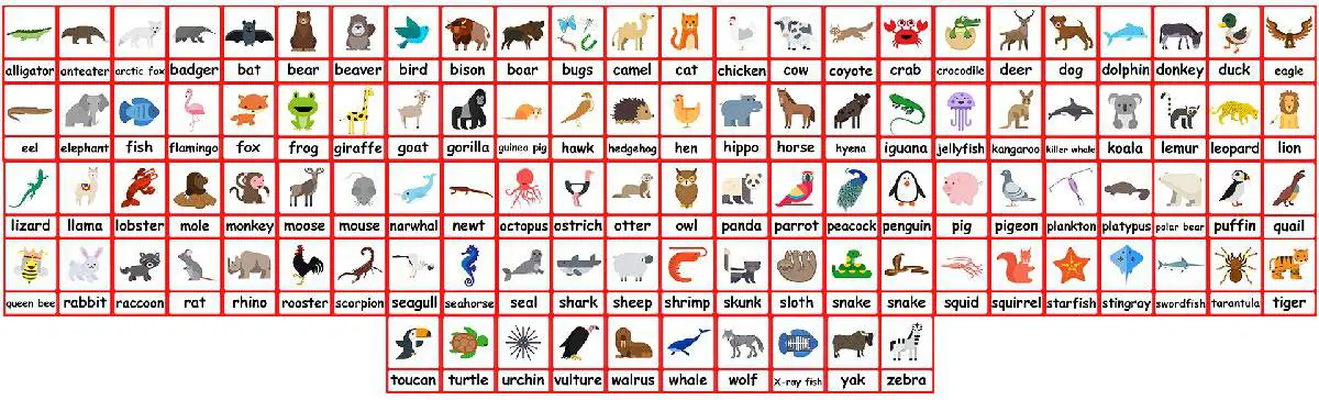 47 Animal Flash Card Set School Educational Picture Image Fun Word Kids Children 