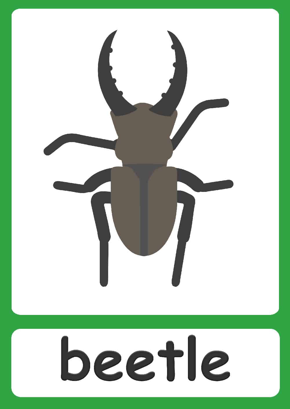 Bugs Flashcards Simple Colorful Insect Flashcards For Your Classroom Bugs Flashcards Simple Colorful Insect Flashcards For Your Classroom