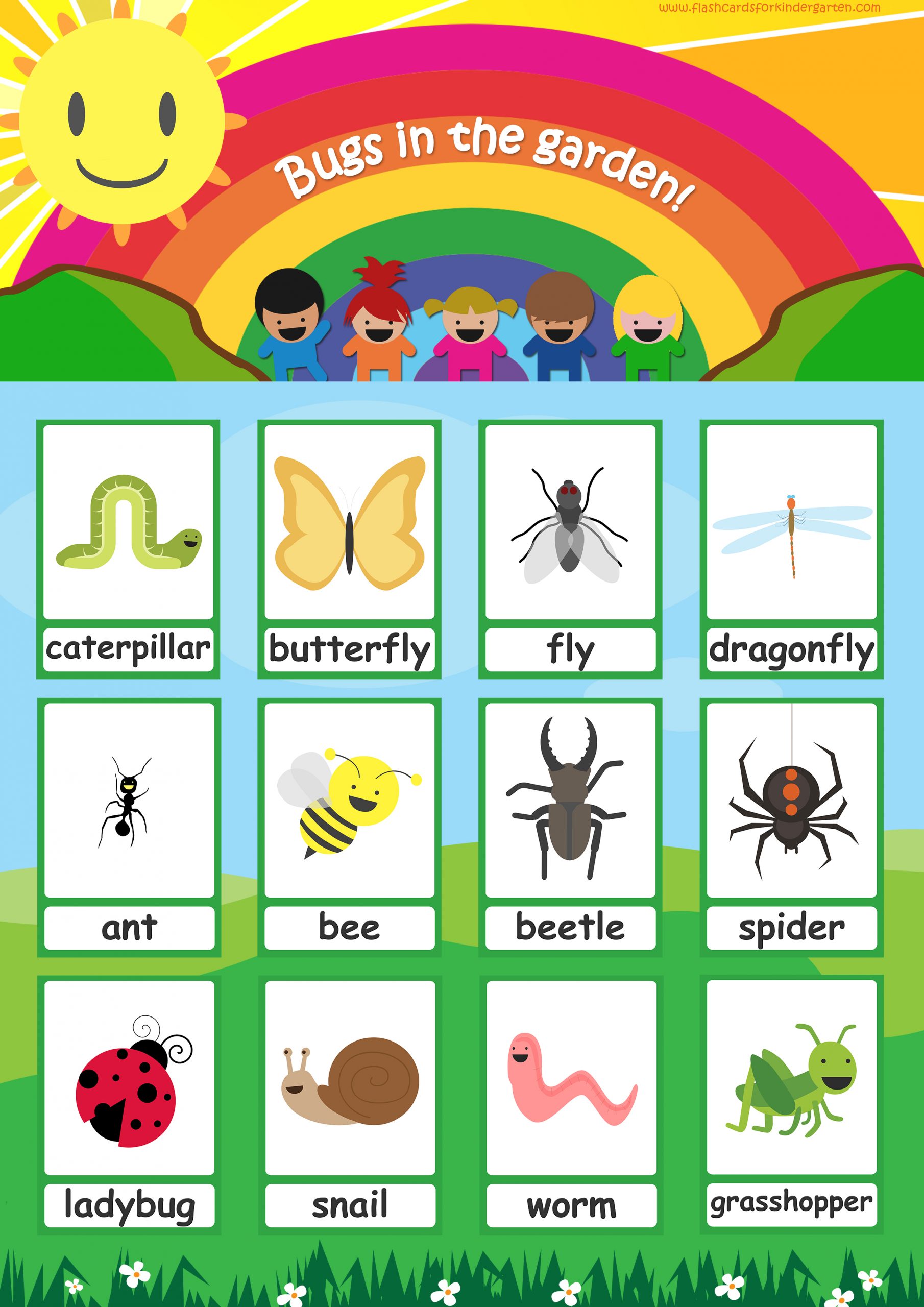 Free Printable Insects Flashcards Printable Printable Calendars At A