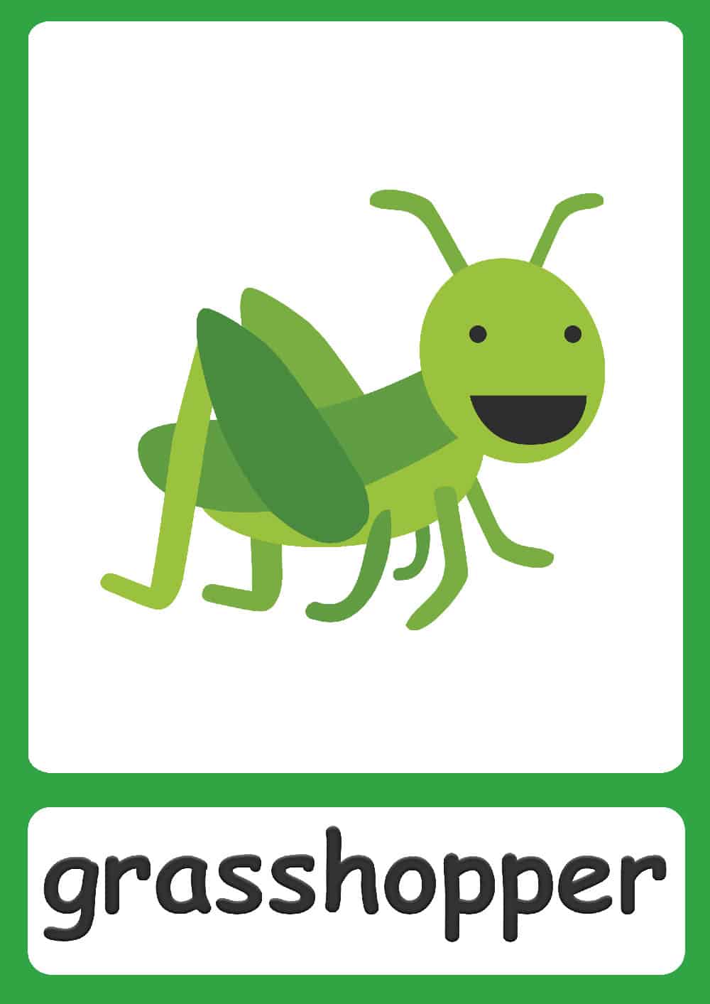 Bugs Flashcards Simple Colorful Insect Flashcards For Your Classroom Bugs Flashcards Simple Colorful Insect Flashcards For Your Classroom