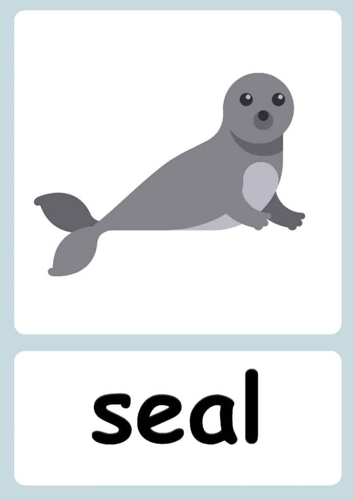 14 FREE Arctic animals Flashcards, PDF