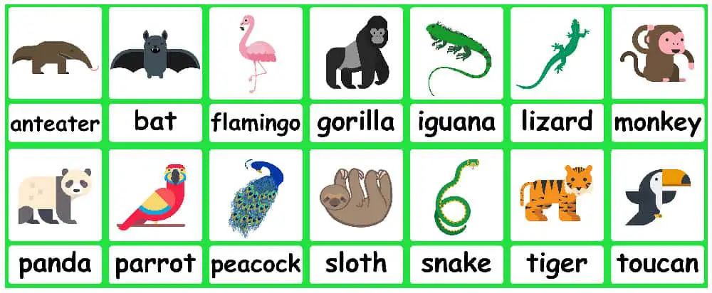 Jungle Animal flashcards + FREE Jungle background