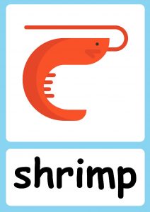 Sea Animal flashcards + FREE Sea Animals Poster!