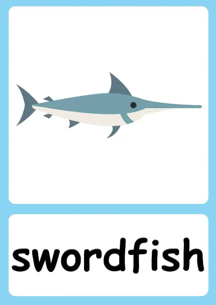 flashcard swordfish
