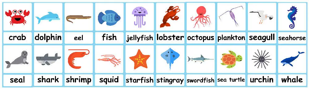 Sea Animal flashcards + FREE Jungle background Sea Animal flashcards + FREE Jungle background