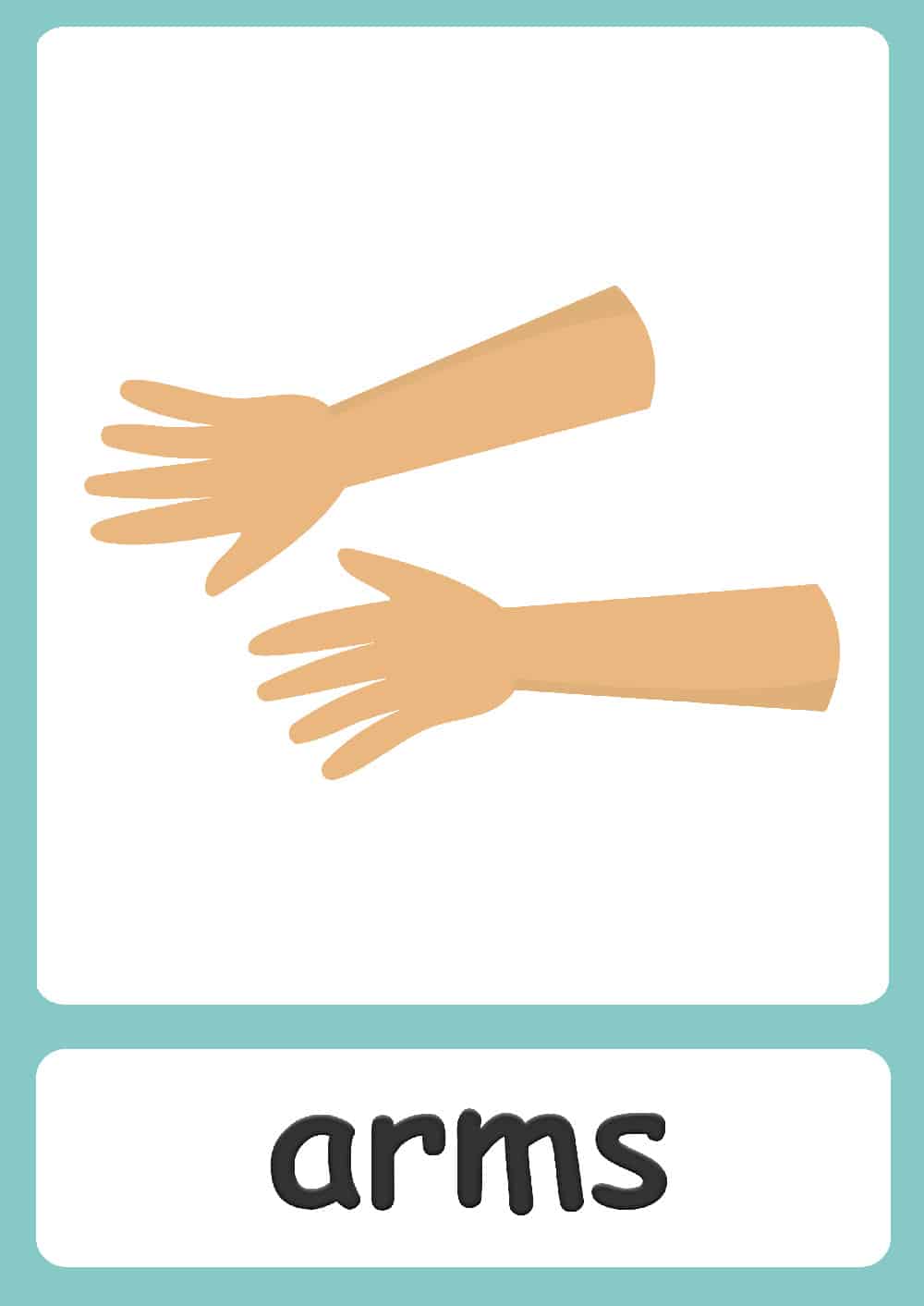 Body parts flashcards