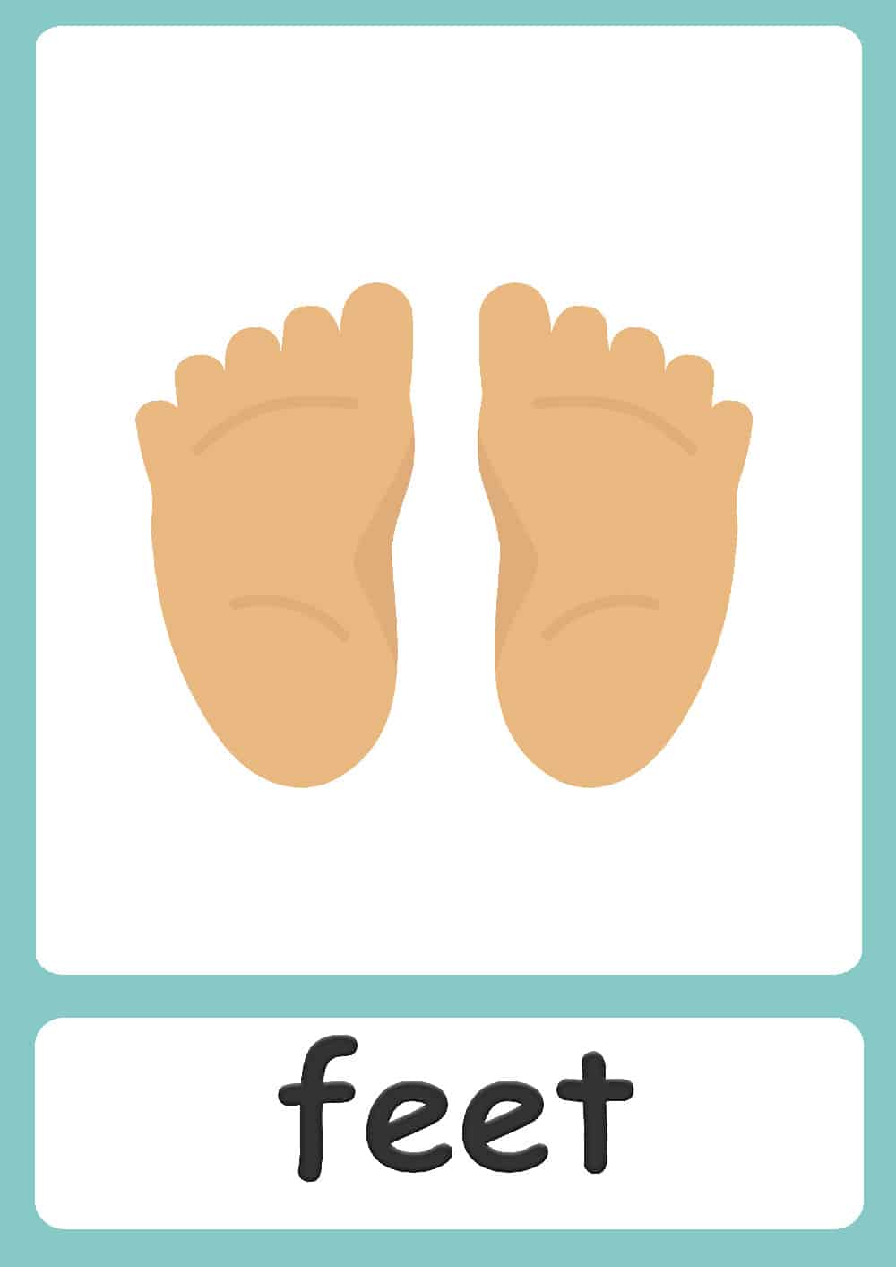 body-parts-flashcards