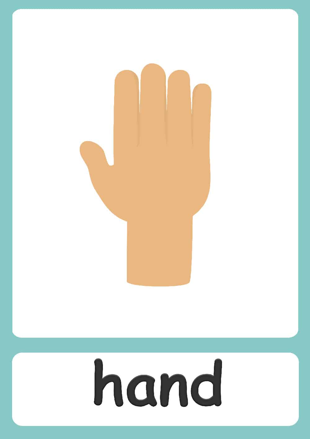 Body parts flashcards
