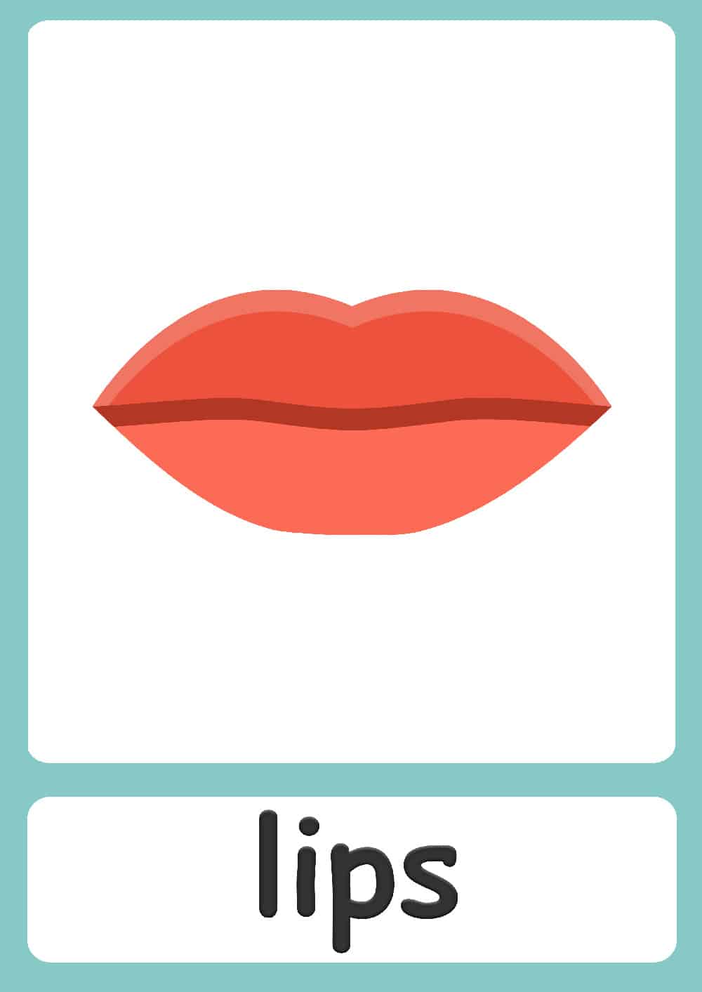 Body parts flashcards