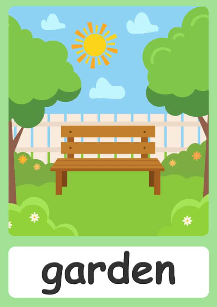 Plant Part Flashcards