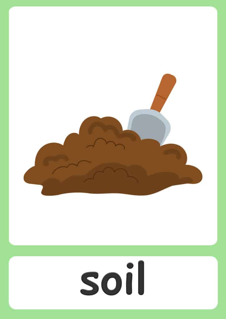 plant-flashcards-soil