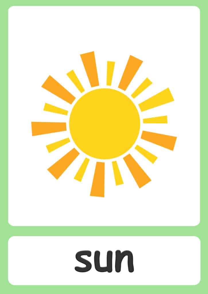 plant-flashcards-sun